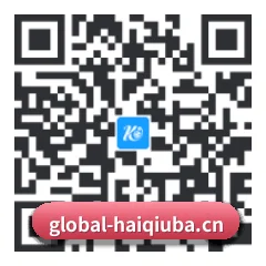 系统版 iOS 二维码